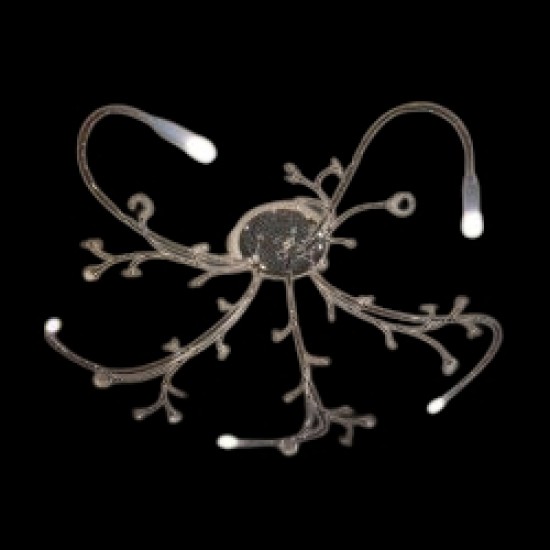 Calypso Φωτιστικό οροφής N.7 