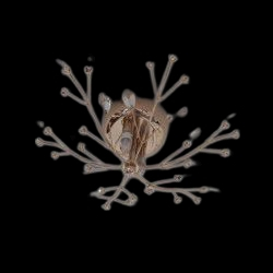 Κρυστάλλινο οροφής Ν.103 Κρυστάλλινο οροφής Ν.103