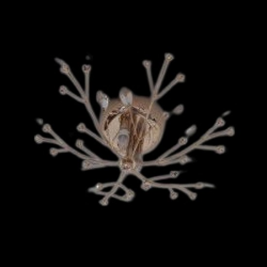 Κρυστάλλινο οροφής Ν.103