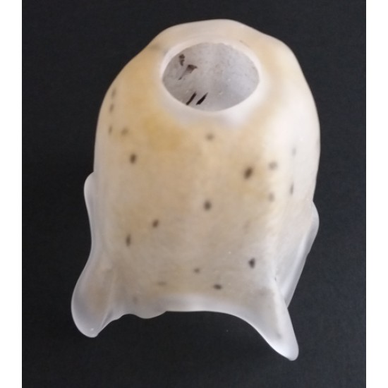 Γυαλί φωτιστικού Ν.503 Γυαλί φωτιστικού Ν.503