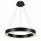 LED Κρεμαστό Φωτιστικό Μαύρο 30W Ø40cm N.303
