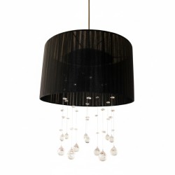 Μονόφωτο N.49 Chicago