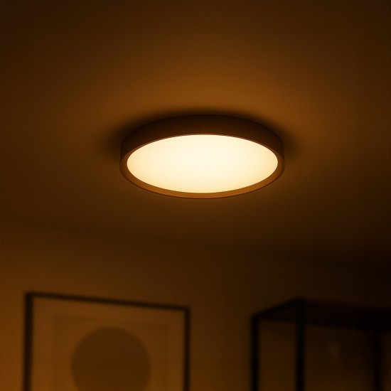 LED Πλαφονιέρα FOREST 24W Ø39cm 4000K ML2054