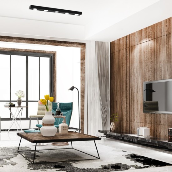 ΦΩΤΙΣΤΙΚΟ ΟΡΟΦΗΣ ALEXANDER 5XGX53